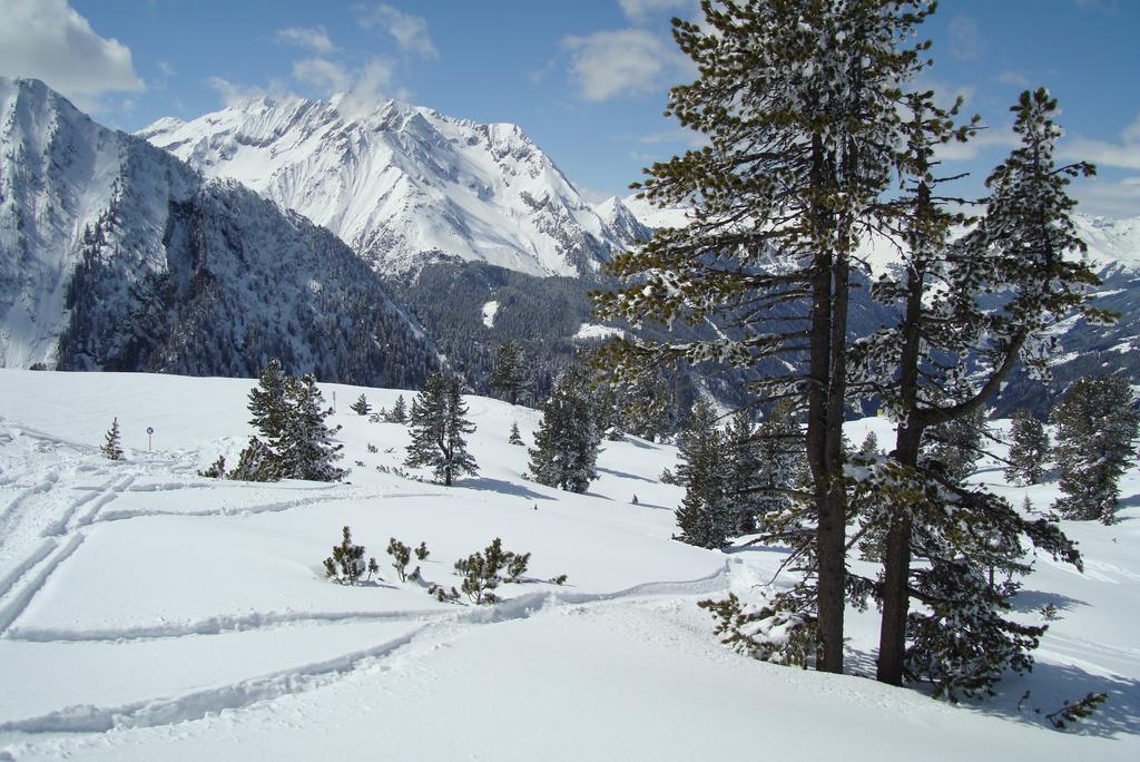 Ferienwohnungen Kroll - Appartements Viktoria Und Landhaus Maria Mayrhofen Kültér fotó