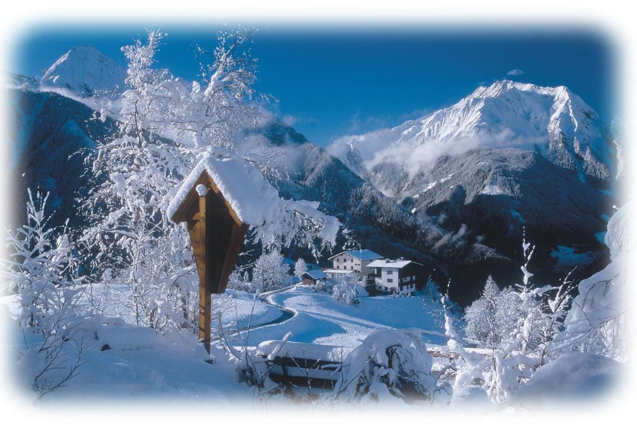 Ferienwohnungen Kroll - Appartements Viktoria Und Landhaus Maria Mayrhofen Kültér fotó